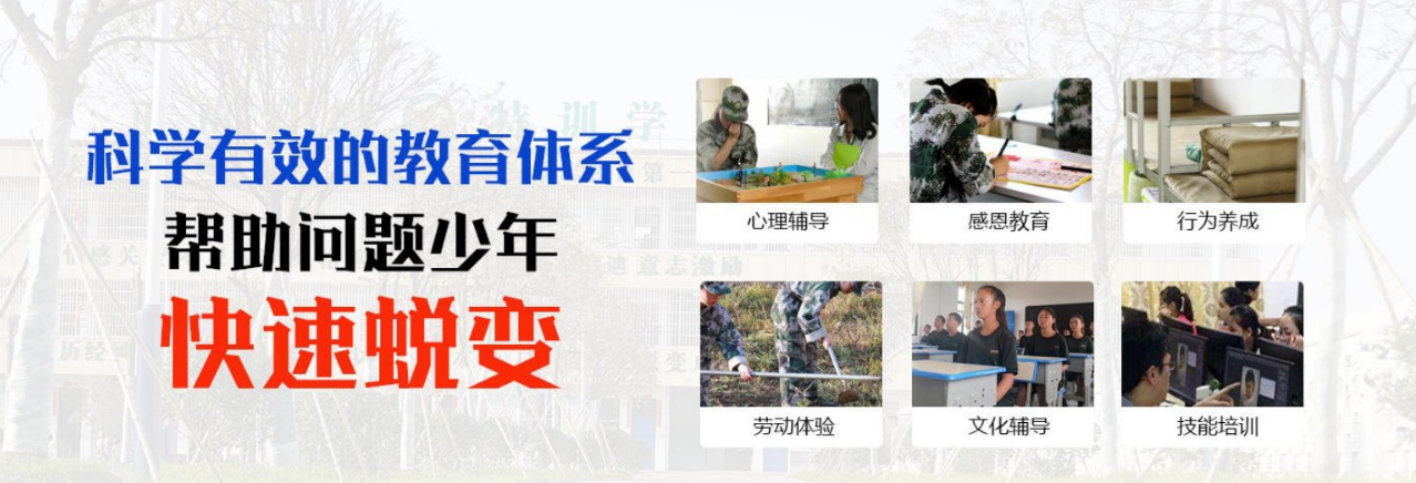 1779765074257037.png 科学有效的教育体系.png